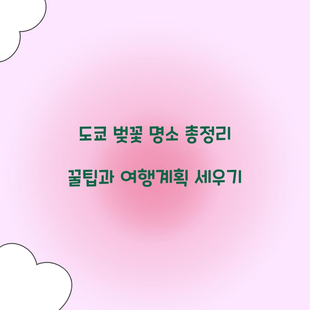 도쿄 벚꽃 명소