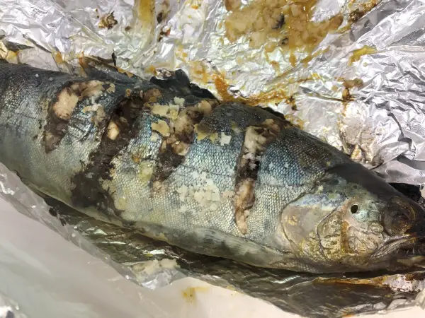 산천어 구이 마리당 3천 원