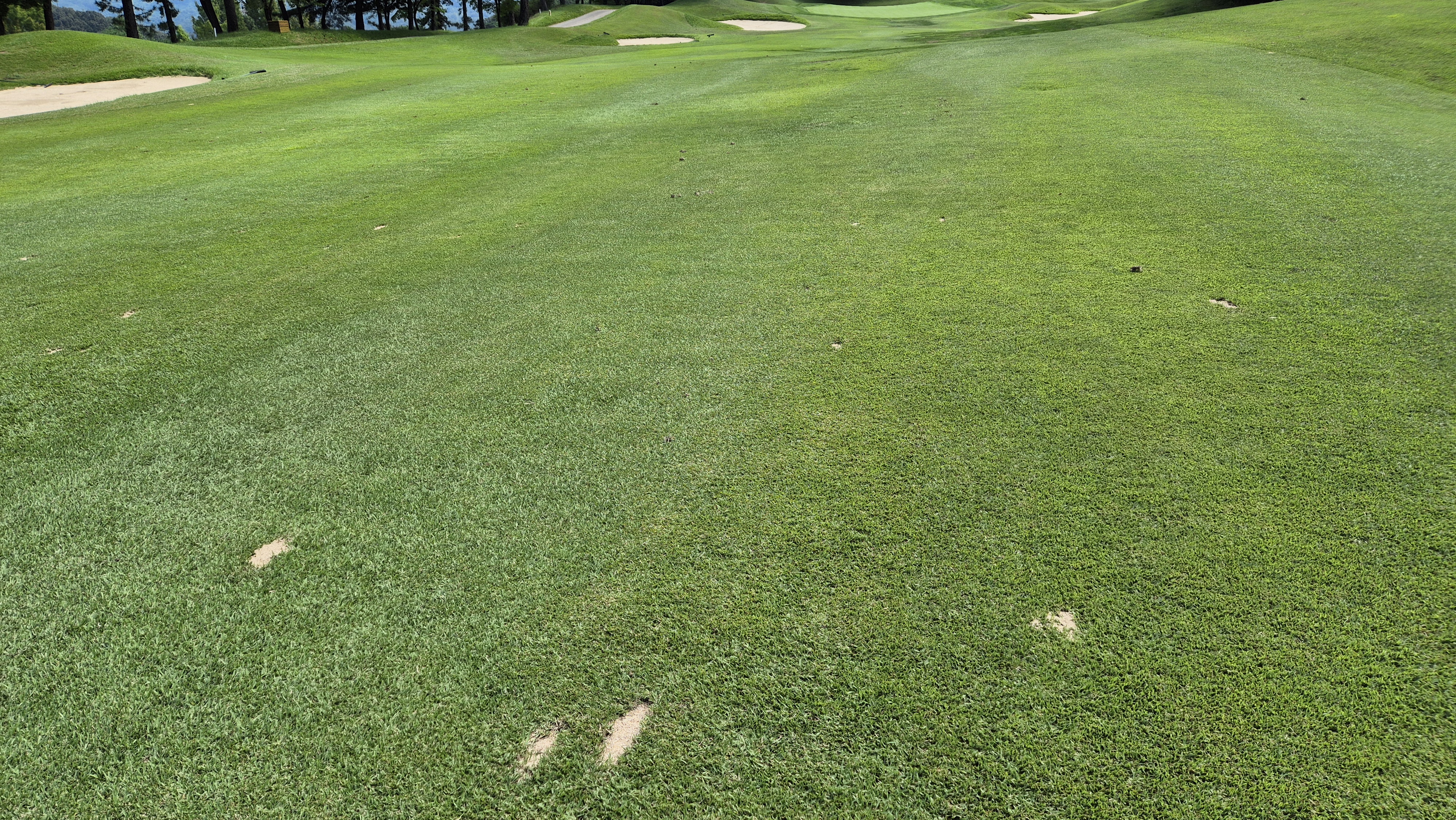 골프존카운티 천안 라운드 후기