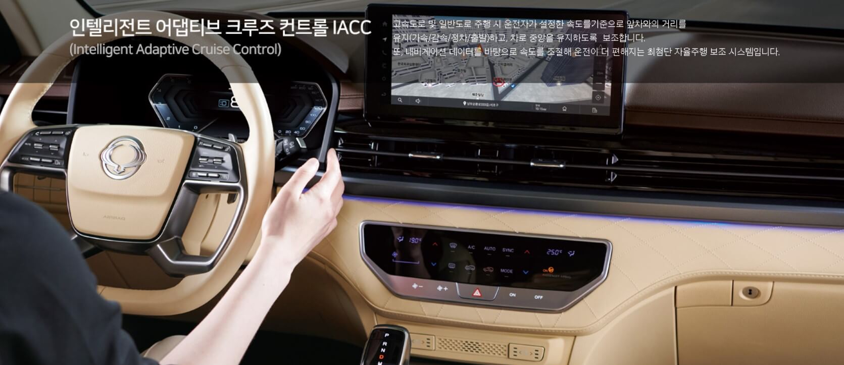 렉스턴 제원
