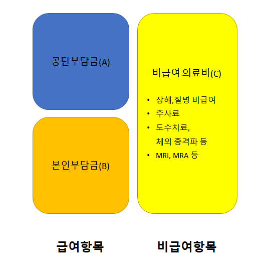 실비 보험 보장 범위-비급여항목