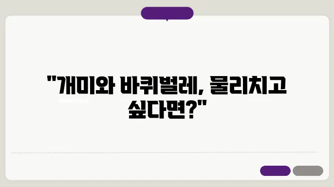 개미 퇴치법 및 바퀴벌레 퇴치법 알아보기