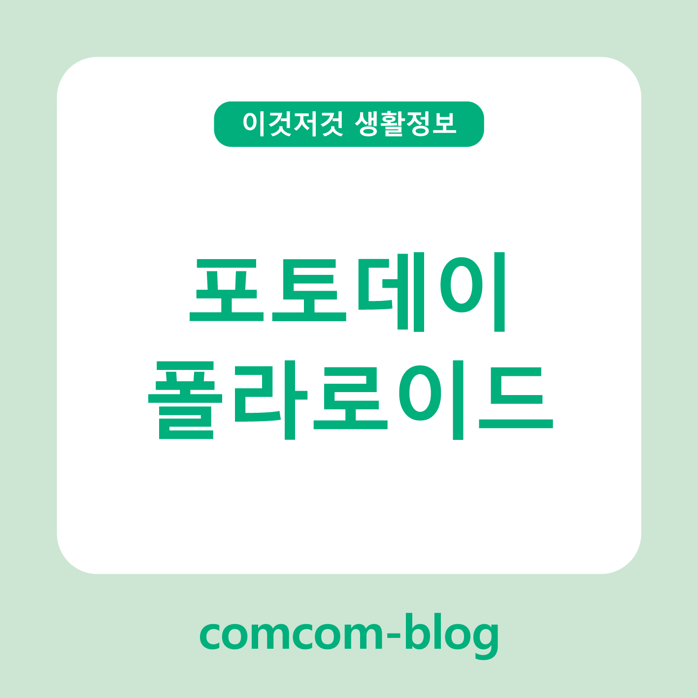 📸 포토데이, 폴라로이드로 만드는 나만의 추억 기록