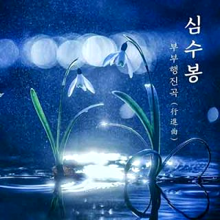 심수봉 나이 프로필, 남편·자녀·고향·콘서트 총정리