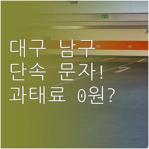 대구 남구 주차 단속 문자 알림 신청..