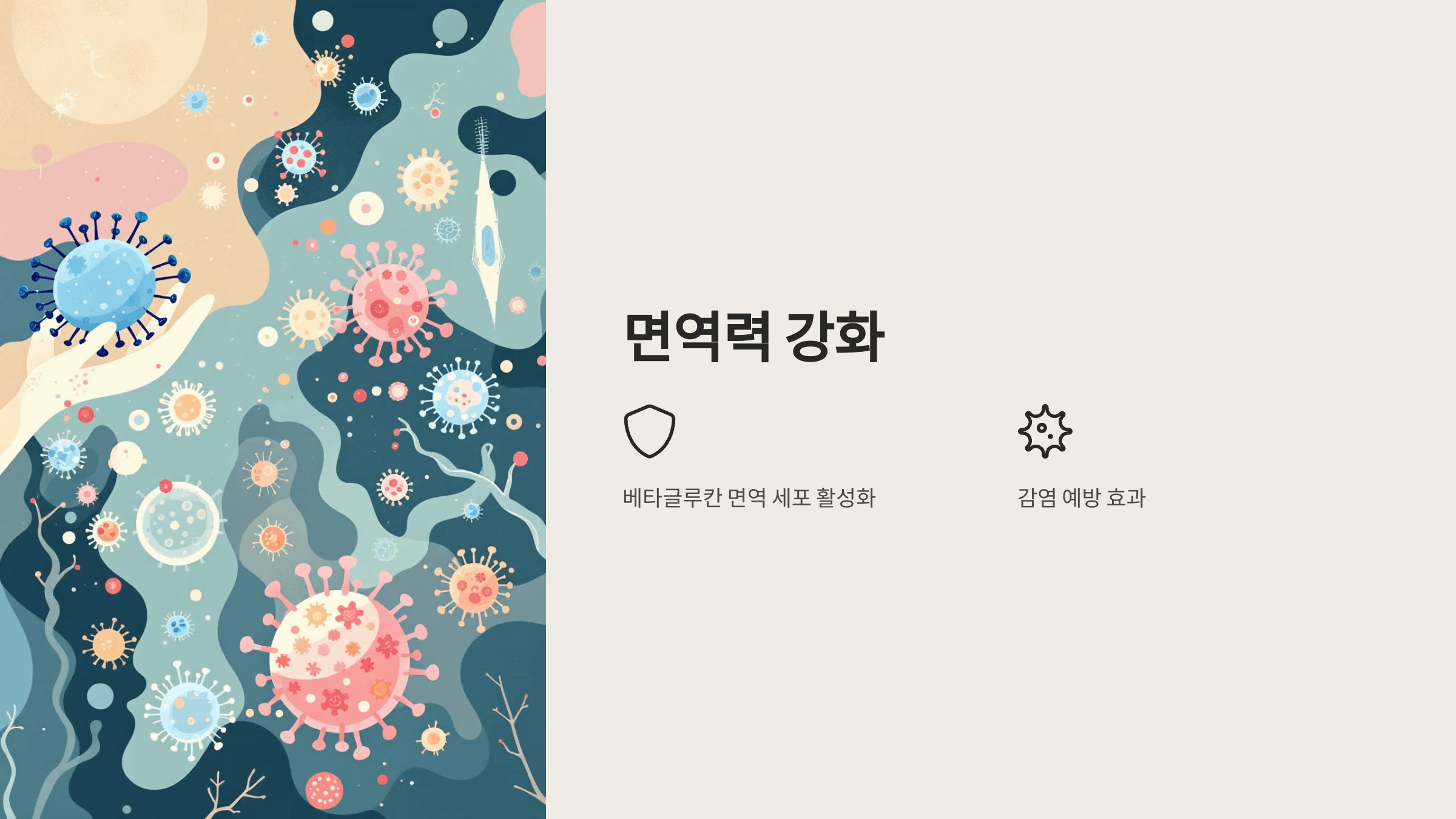 귀리 사진입니다.