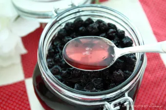 아로니아 효소만드는법과 효능효과 부작용 꽃 엑기스 활용법_3