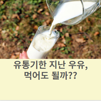 유통기한 지난 우유, 섭취 기준 및 활용법