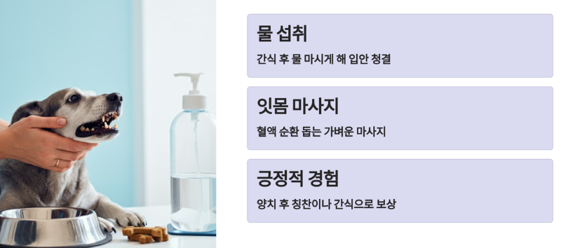 강아지 치아 건강을 위한 추가 팁
