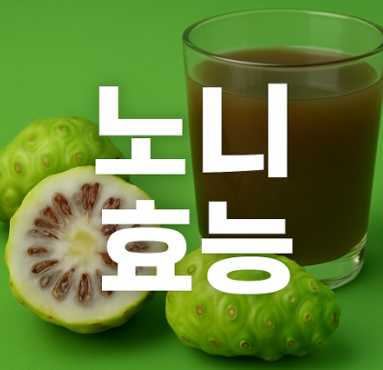 노니 효능