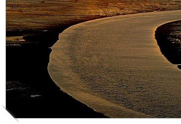 2024 순천만 갈대축제 입장료, 일정 및 프로그램 사전예약