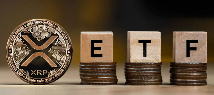 2025년 하반기 XRP 투자 전략