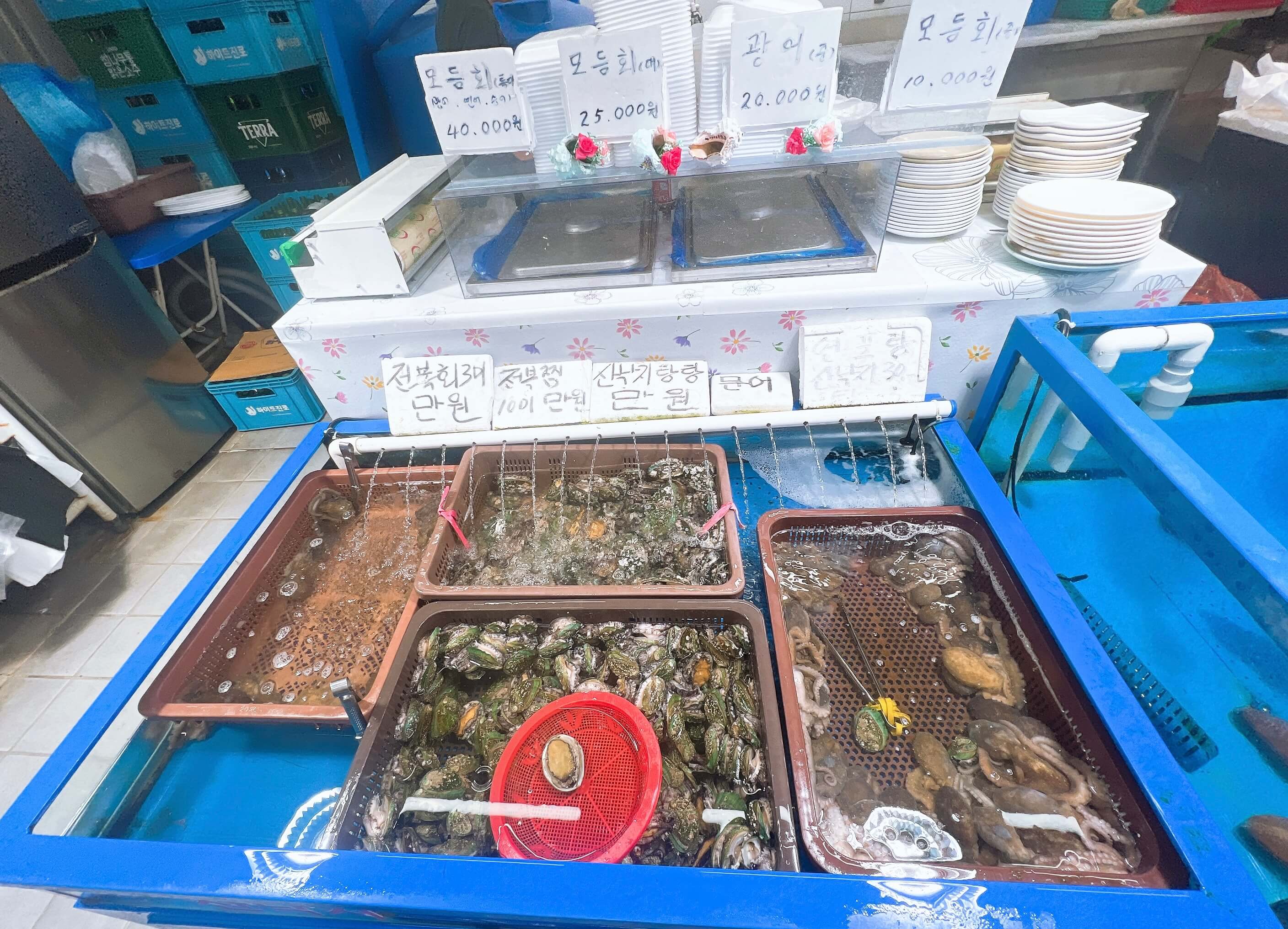 경동시장 다퍼줘 횟집 관련 사진