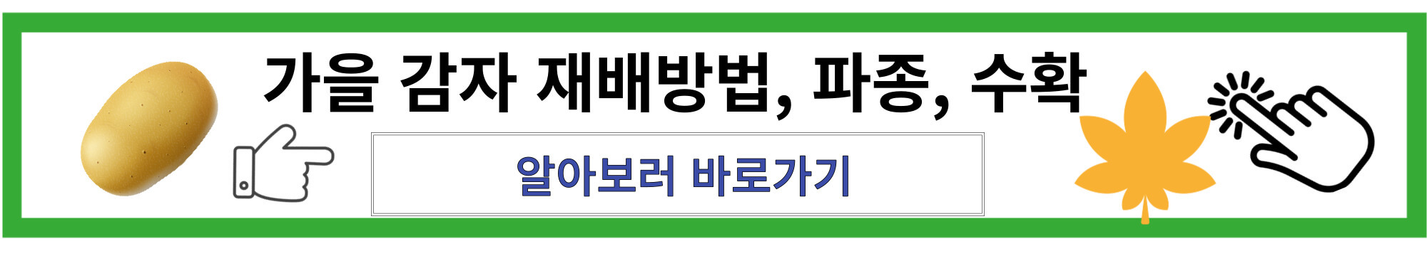 가을 감자 재배 방법