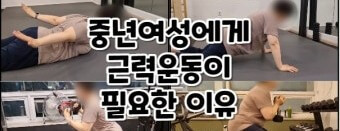 몸매와 근육 상관성