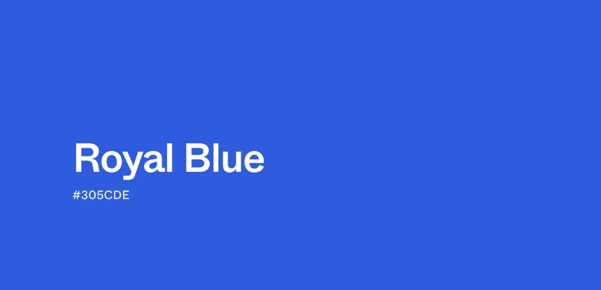 파란색(blue) 계열의 색상 종류처럼 색과 아이템을 연결해 전체 착장을 정돈한 코디입니다.