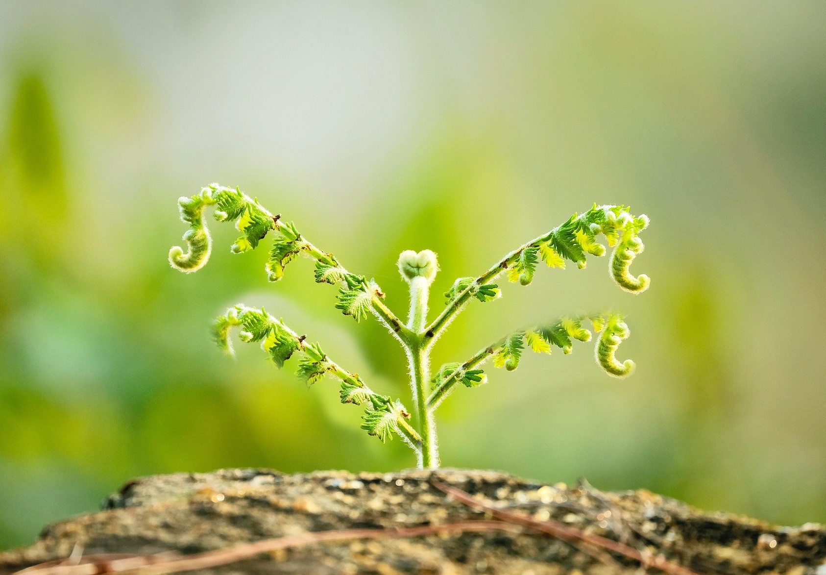 집값이 아니라 '보유비용'이 자산을 결정하는 시대!