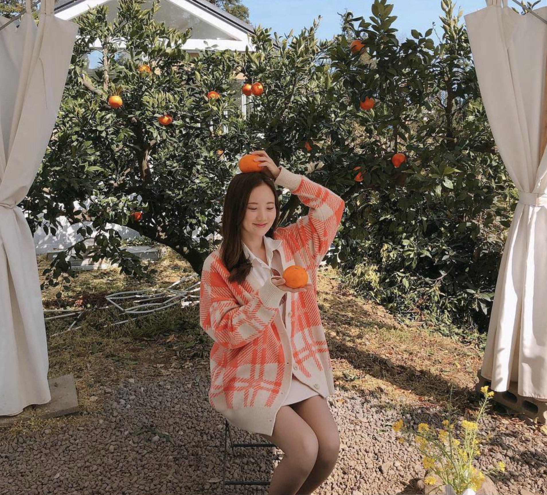 김지원 다리 각선미