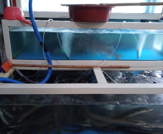 6시 내고향 완도 백반 맛집 만선식당