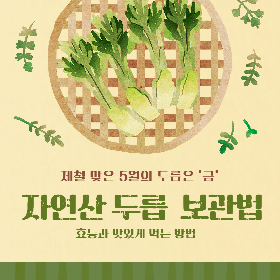 자연산두릅