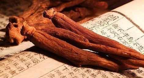 홍삼 사진