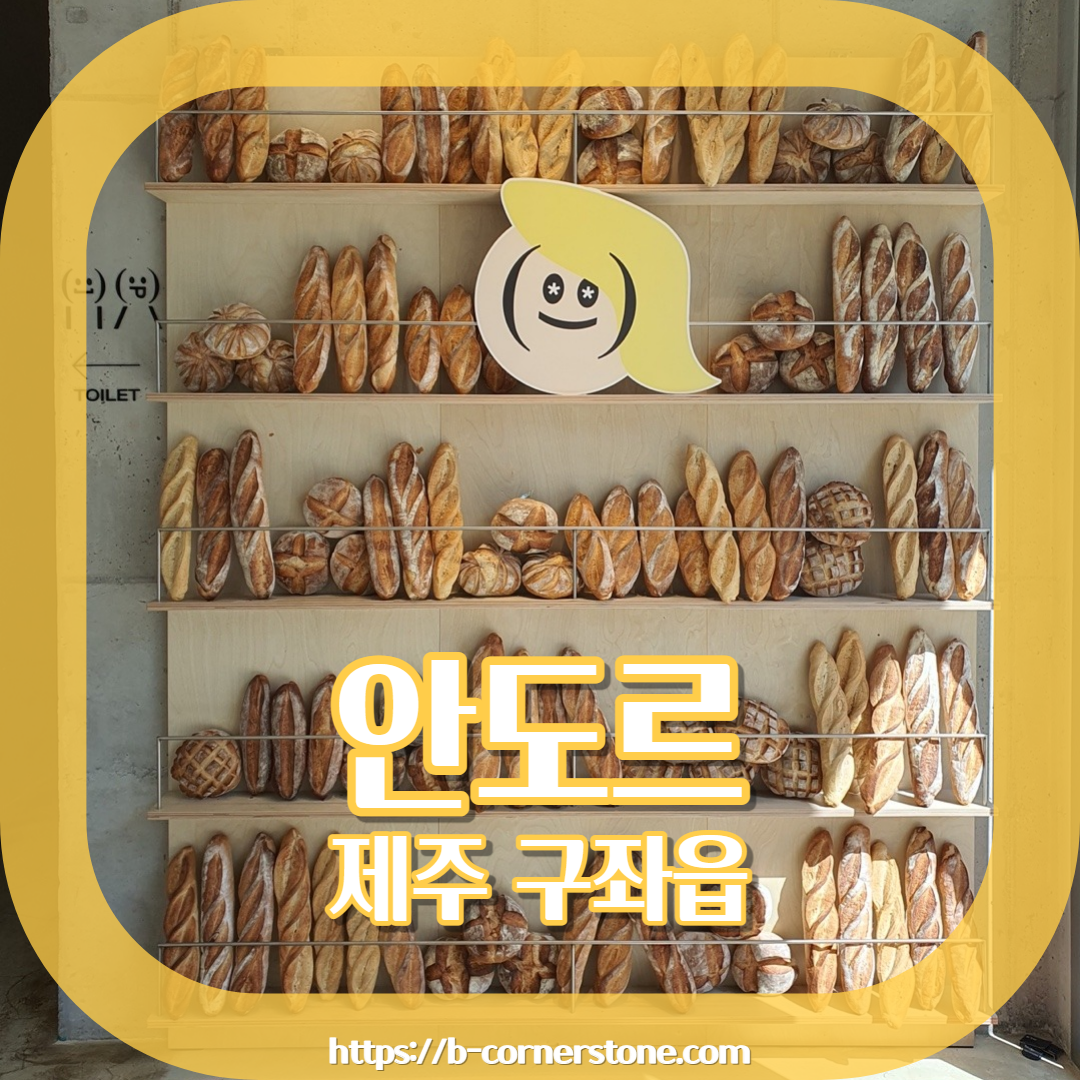 제주 구좌 송당무끈모루 안돌오름 밧돌오름 웨딩포토존 웨딩촬영 대형베이커리 카페 안도르 andor 인생샷