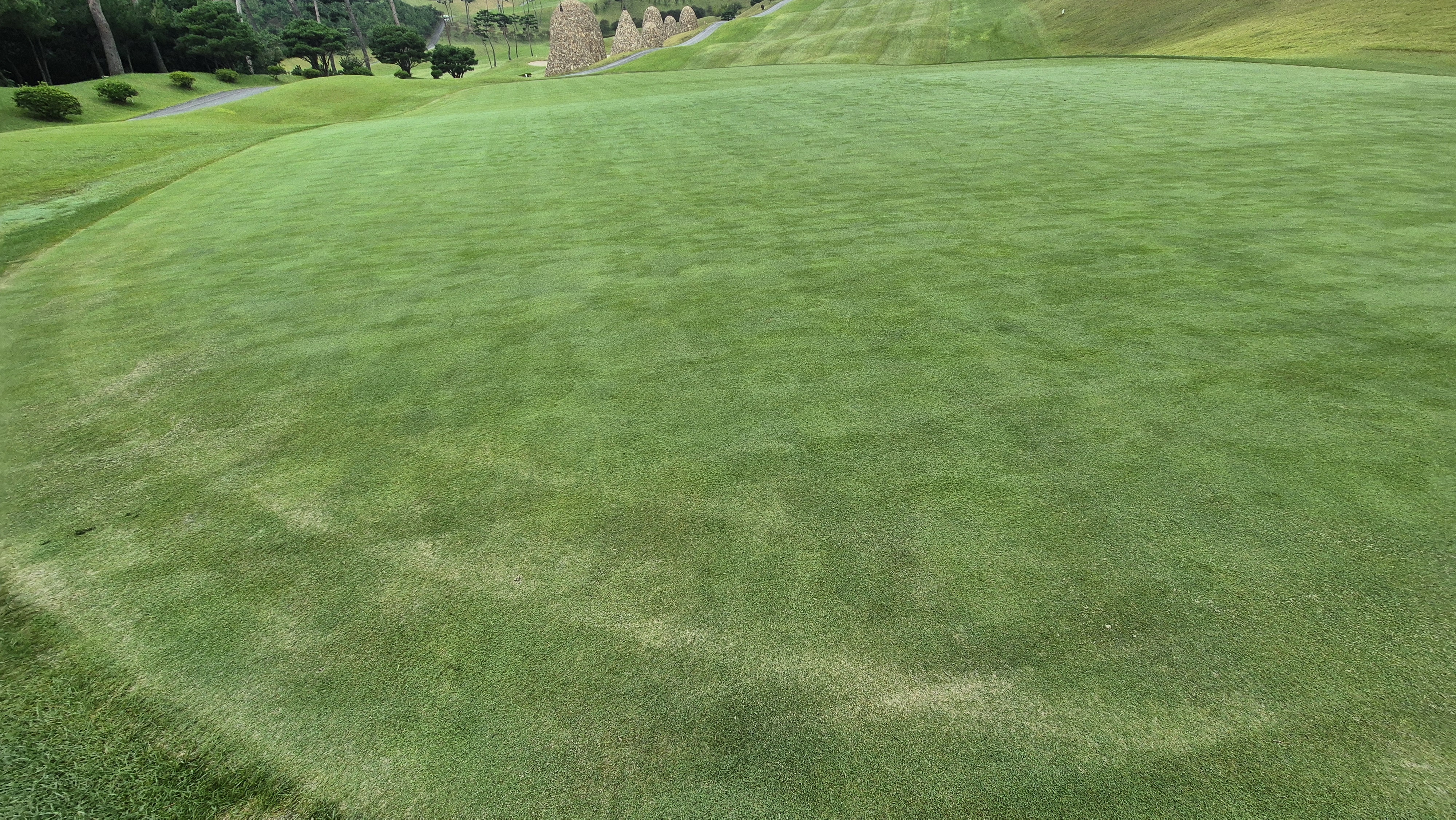 서산수cc 그린 빠르기 및 난이도