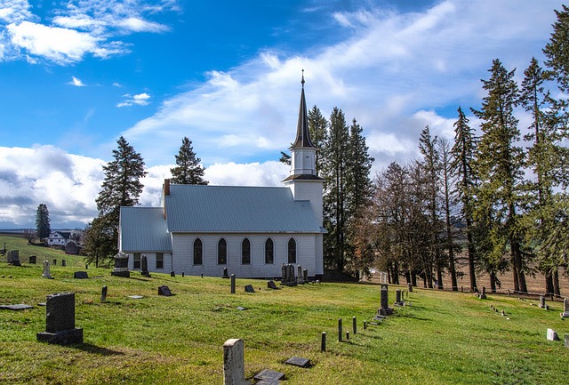 배당락일 vs 배당기준일