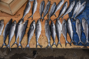 추석민생안정대책