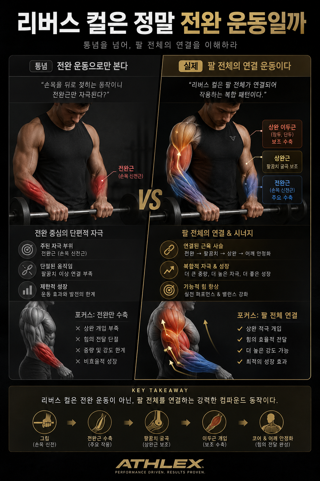 리버스 컬은 정말 전완 운동일까