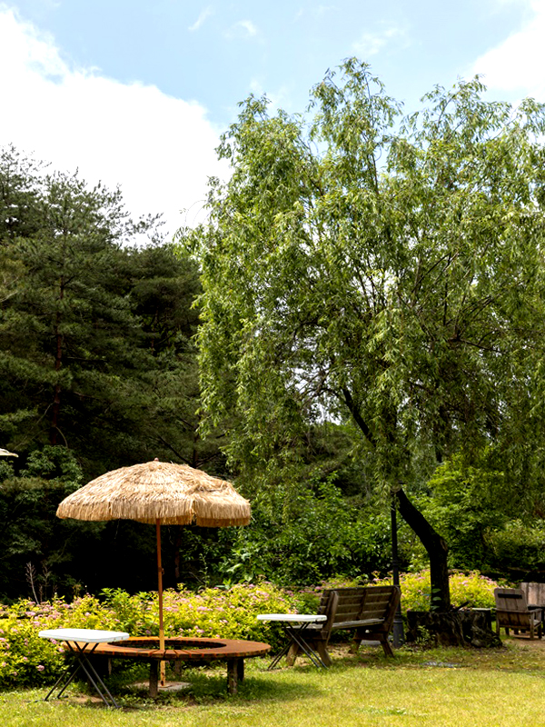 경북 칠곡 시크릿 가든(비밀의 화원)