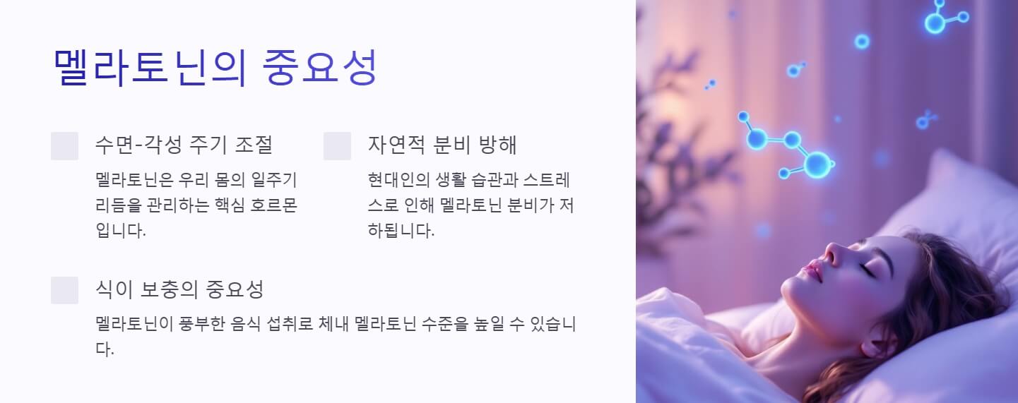 멜라토닌 많은 음식