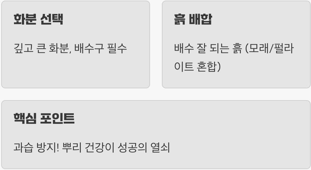 거인의 요람, 튼튼한 화분과 흙