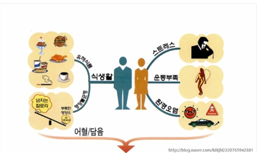 마그네슘 부족현상