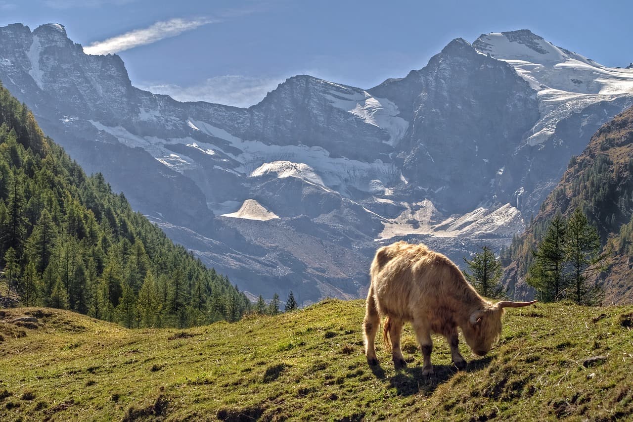 도시 속 친환경 아파트 트렌드 (녹색 건축물 인증 LEED & G-SEED)