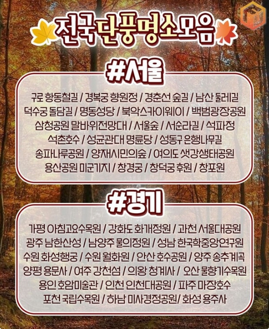 단풍시기03