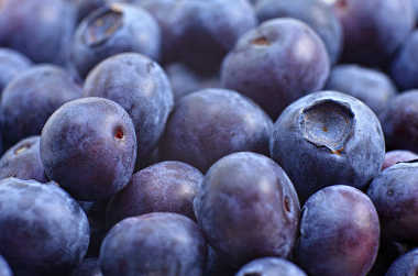 항산화 작용 블루베리