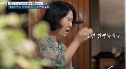 노인우울증