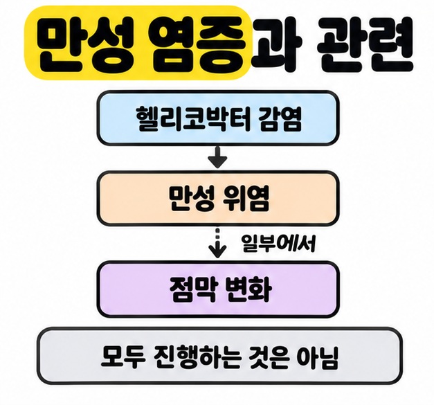 헬리코박터 감염에서 만성 위염을 거쳐 점막 변화로 이어지는 흐름과 일부에서 변화하며 모두 진행하는 것은 아니라는 안내를 담은 그림