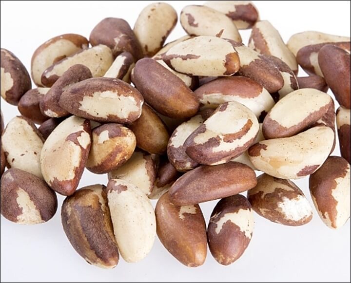 브라질 너트 효능