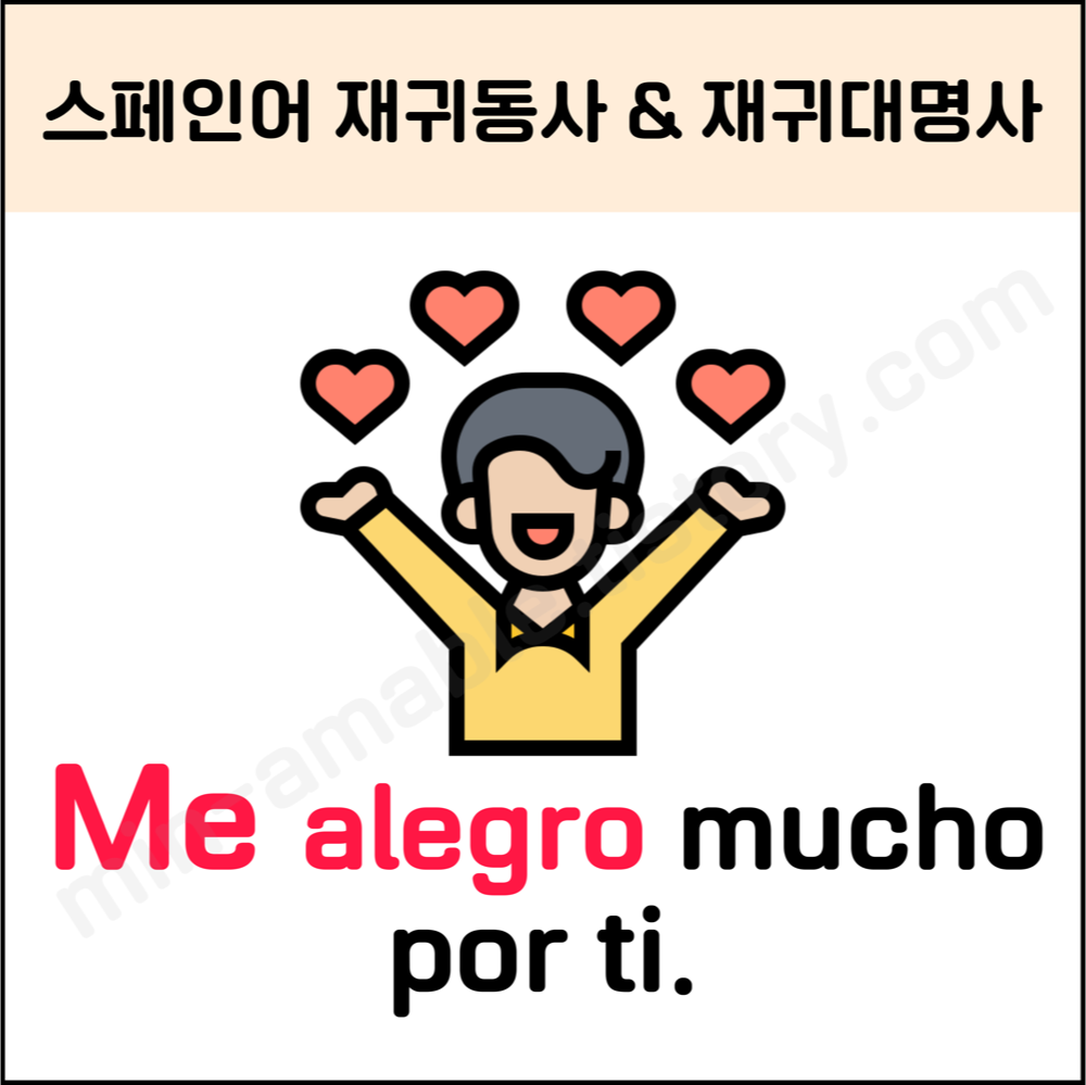 스페인어 재귀동사종류