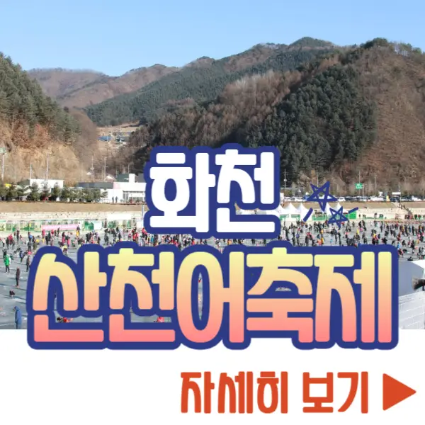 얼음 나라 화천 산천어축제 보기