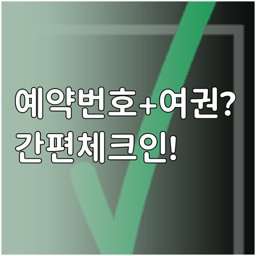 미얀마국제항공 온라인 체크인, 예약번..