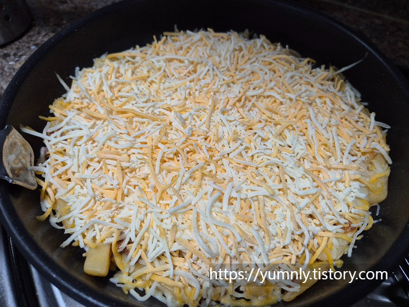 Generous amount of shredded mozzarella cheese topped over the ragu sauce and fries