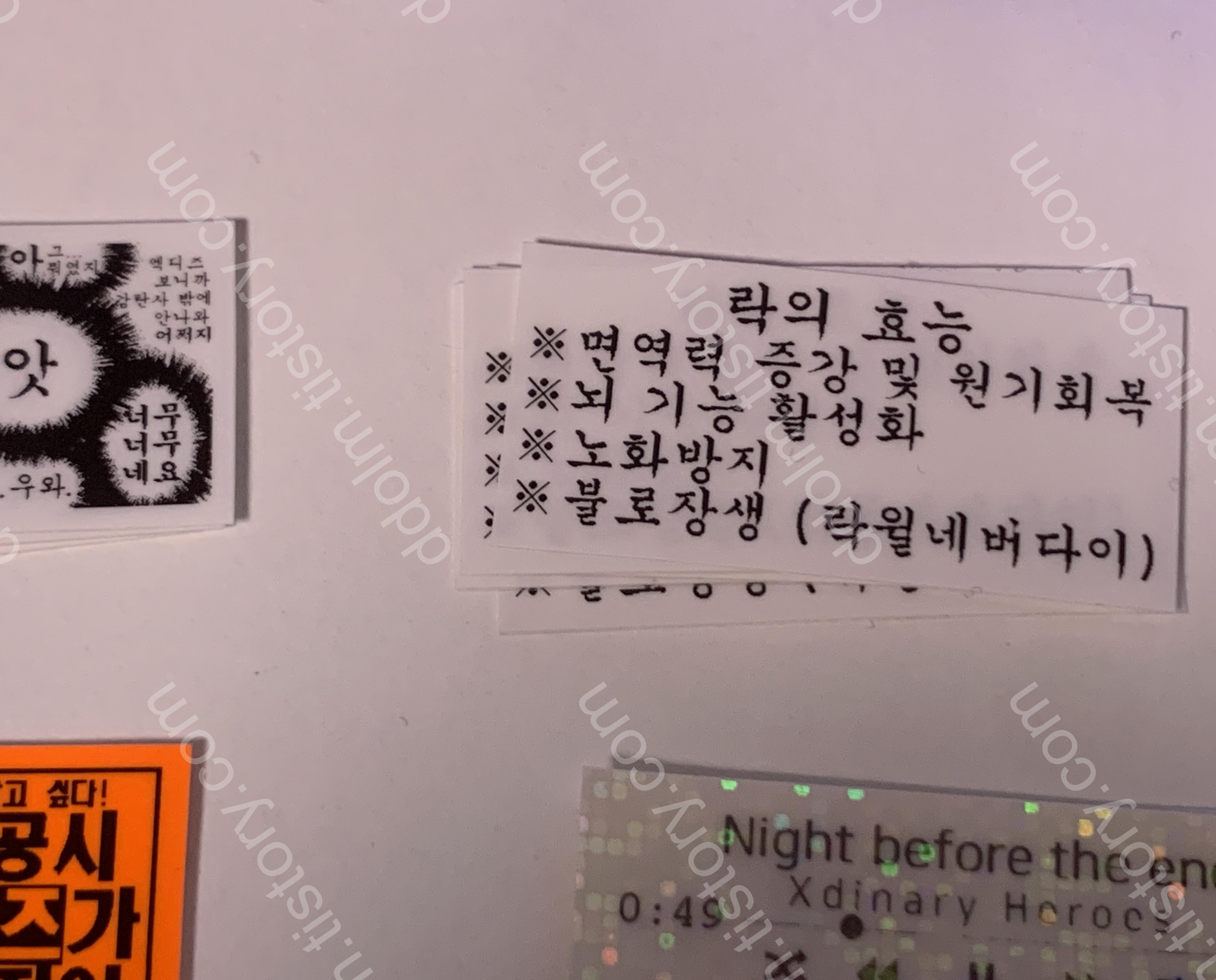 엑디즈 콘서트 라벨 스티커