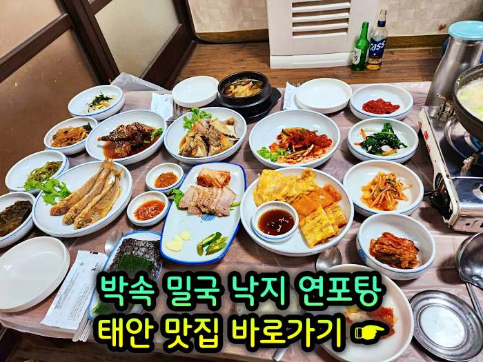 생방송 투데이 충남 태안 낙지 한상 박속밀국낙지탕 맛집