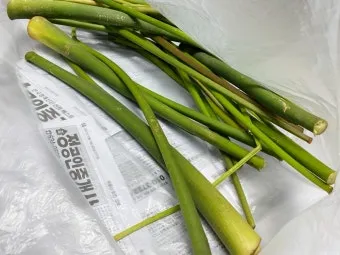 토란대 손질방법 말리는 방법을 정리_8
