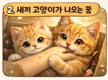 고양이 꿈해몽! 유형별 10가지 고양이 꿈해몽! 총정리!