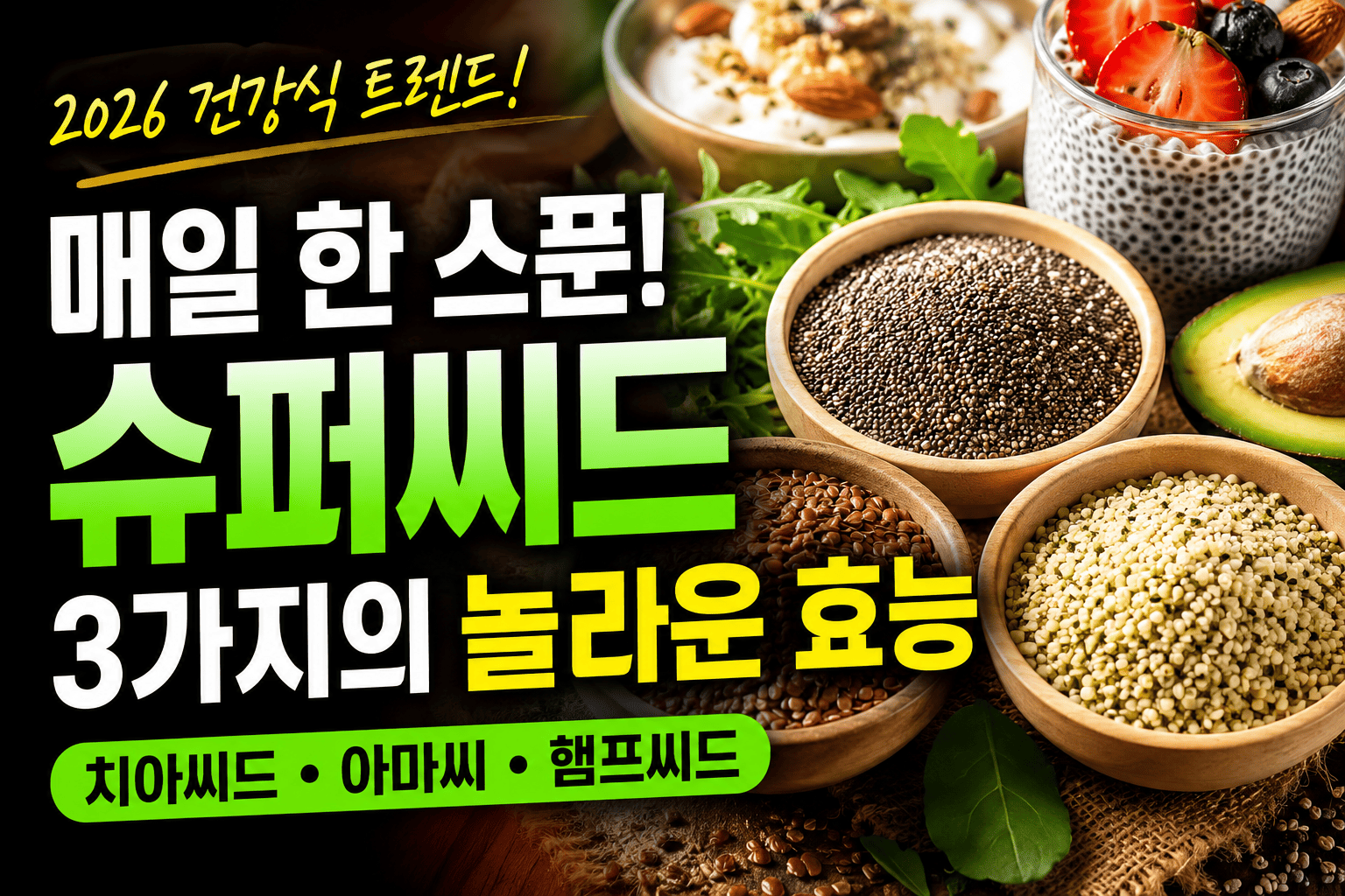 건강식 트렌드 씨앗 (오메가3, 식이섬유, 단백질)