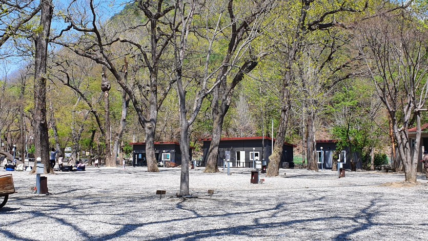 충북 금관숲캠핑장 소개